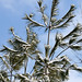 Lynn Mcalister Photo 16