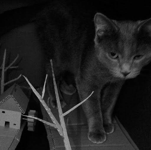 Patrick Mchale Photo 37