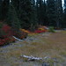 Margaret Meadows Photo 30
