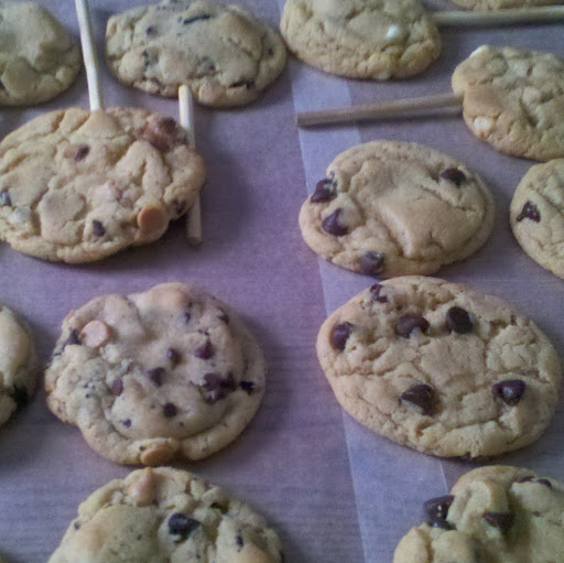 Tracy Albert Photo 13