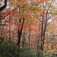 Ann Wolff Photo 20