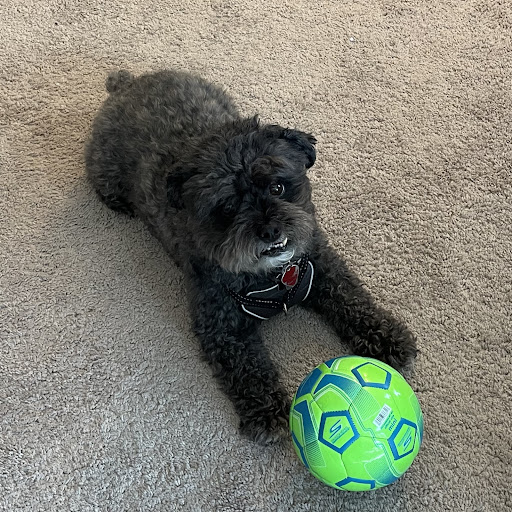 Shawn Curran Photo 18