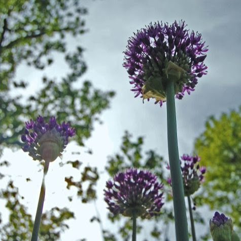 Terry Bentley Photo 4