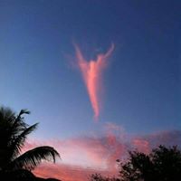 Constance Dennis Photo 6