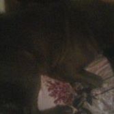 Miguel Juan Photo 40