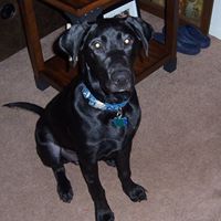 Cindy Currie Photo 13