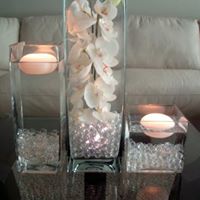 Jill Dempsey Photo 12