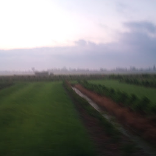 Phuong Truong Photo 12