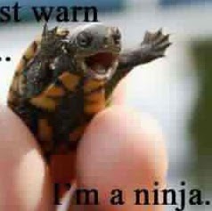 Debbie Cabrera Photo 3