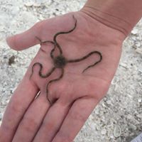 Melanie Jenkins Photo 46