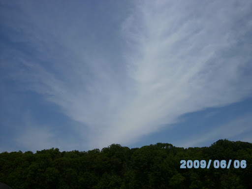 Kimberly Clemmons Photo 1