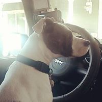 Daniel Hutton Photo 37