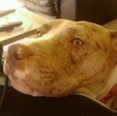 Stephanie Reynolds Photo 15 Stephanie Reynolds Photo 15