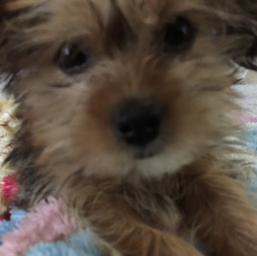 Dennis Block Photo 4