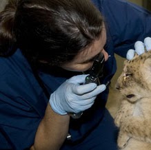 Ethel Williams Photo 15