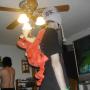 David Moyer Photo 12