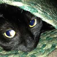 Rachel Hedrick Photo 10