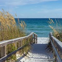 Erica Porter Photo 8