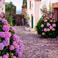 Geraldine Browne Photo 13