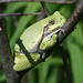 Stephen Halliburton Photo 16