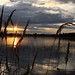 Michael Atkins Photo 44
