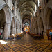 Patrick Loftus Photo 21