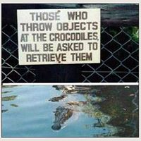 Carla Conner Photo 11