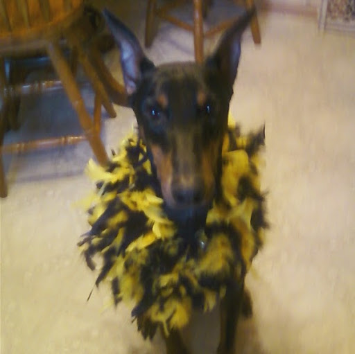 Barbara Lowe Photo 16