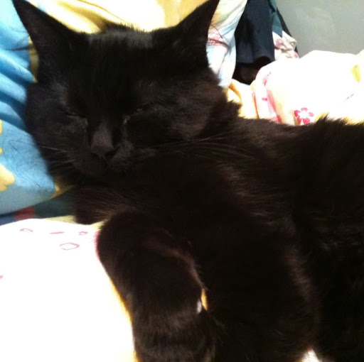 Yuen Cheung Photo 26