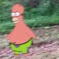 Craig Smart Photo 30