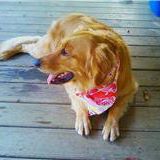 David Arnette Photo 8