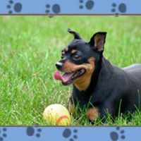 Rosemary Hunt Photo 13