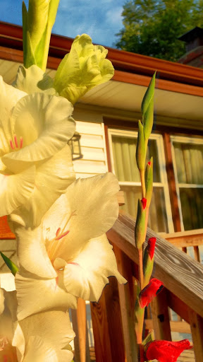 Teresa Hartman Photo 5