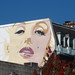 Marilyn Morgan Photo 10