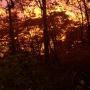 Andrew Hess Photo 33