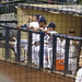 Chris Gallardo Photo 6