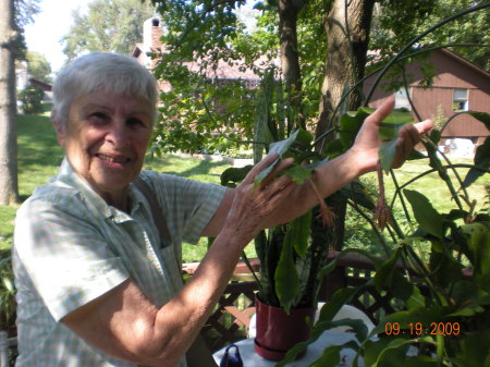 Dorothy Bryan Photo 17