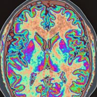 Michelle Lundquist Photo 13