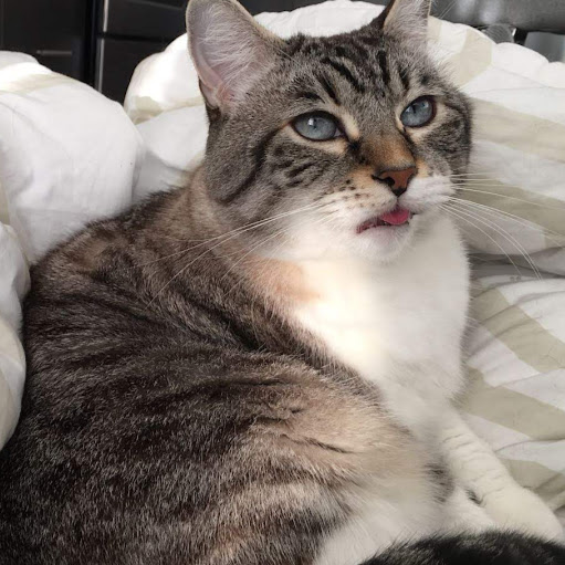 Victoria Potter Photo 20