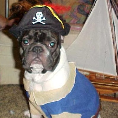 Jean O'Brien Photo 8