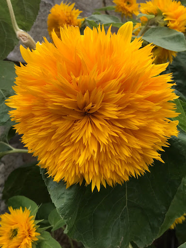 Kathy Mercer Photo 34