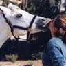 Amy Tompkins Photo 31