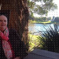 Dale Davison Photo 26