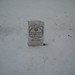 Timothy Hatcher Photo 11