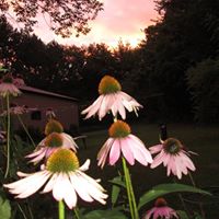 Kathleen Campbell Photo 51