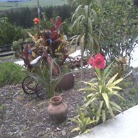 Vicki Yates Photo 13