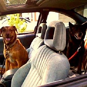 Kathy Christensen Photo 12