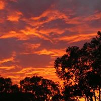 Robyn Atkins Photo 9