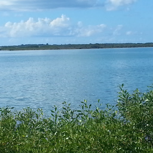 Jerry Turner Photo 29