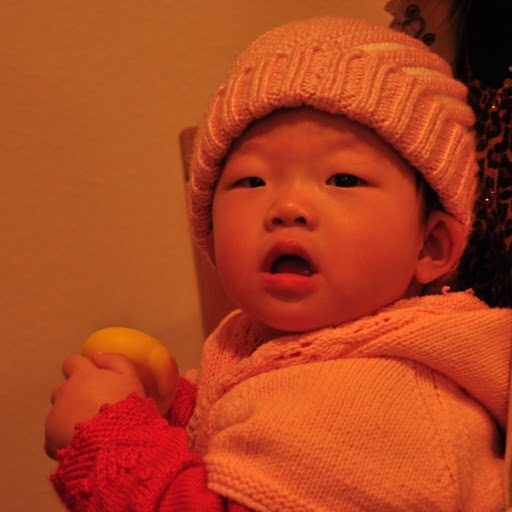 Jin Jiang Photo 10 Jin Jiang Photo 10